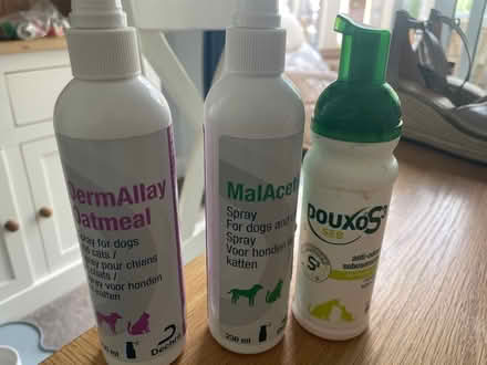 Photo of free Dog skin treatment - anti fungal and anti dermatitis (Esher KT10) #1