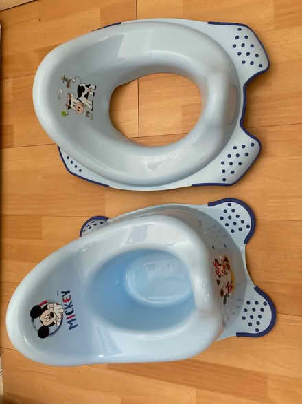 Photo of free Child’s potty and toilet seat (East Grinstead RH19) #1