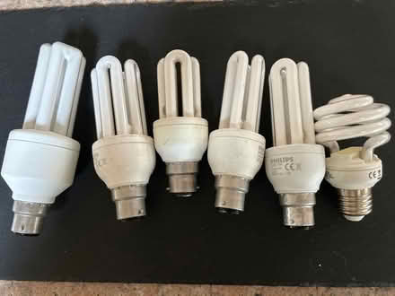 Photo of free Assortment of light bulbs (Mansfield nottinghamshire) #1