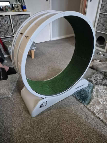 Photo of free Cat treadmill (Radcliffe M26) #1