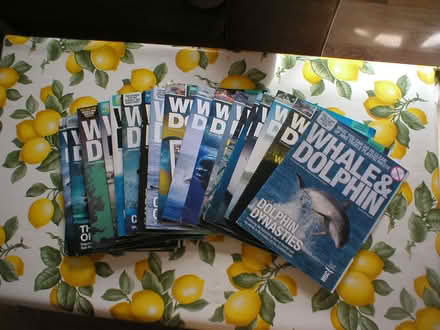 Photo of free Whales and Dolphins Magazines (Sion Hill) #1