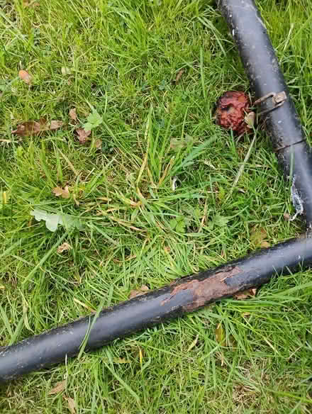 Photo of free Standalone pull up bar (billericay CM12) #4