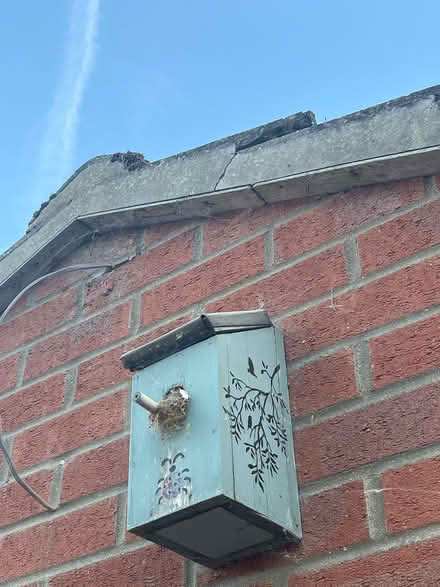 Photo of free Tow bird feeders (Peterborough PE1) #2