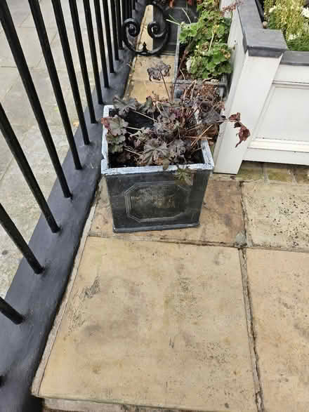 Photo of free Garden planters (World's End SW10) #1