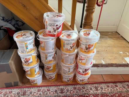 Photo of free Plant Pot-sized plastic containers (Hill Top, Madeley Telford TF7) #2