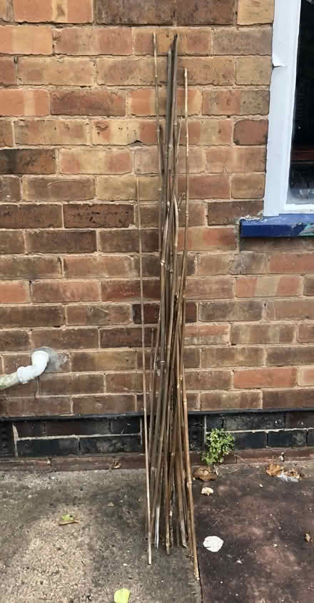 Photo of free Bamboo Sticks (Leamington Spa (CV32)) #1