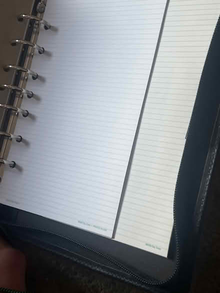 Photo of free Old School Day Timer (Terra Linda) #3