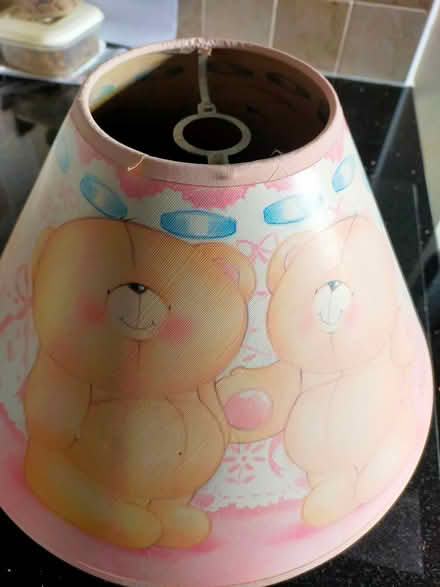 Photo of free Lamp shade (Oswestry) #1