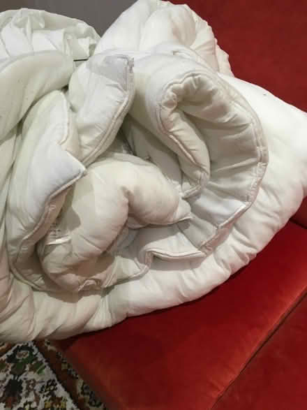 Photo of free Duvet (Cropston LE7) #2