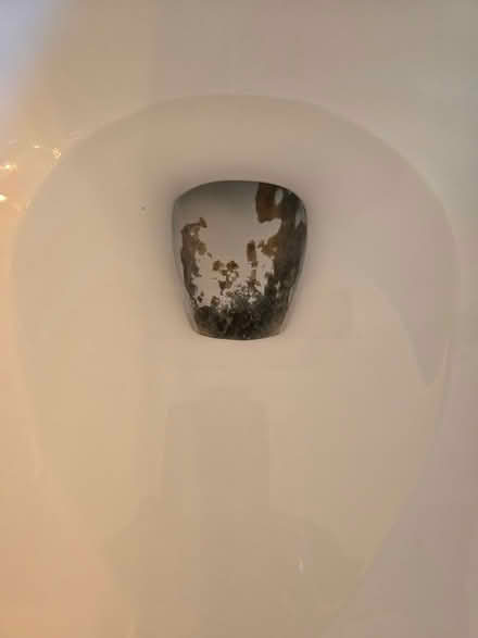 Photo of free Kohler porcelain toilet (Skagit, Bow) #3