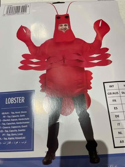 Photo of free Lobster fancy dress outfit (Bankart ave Oadby LE2) #1