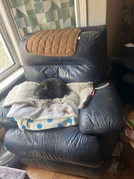 Photo of free 3seater sofa and chair (Penwortham PR1) #2