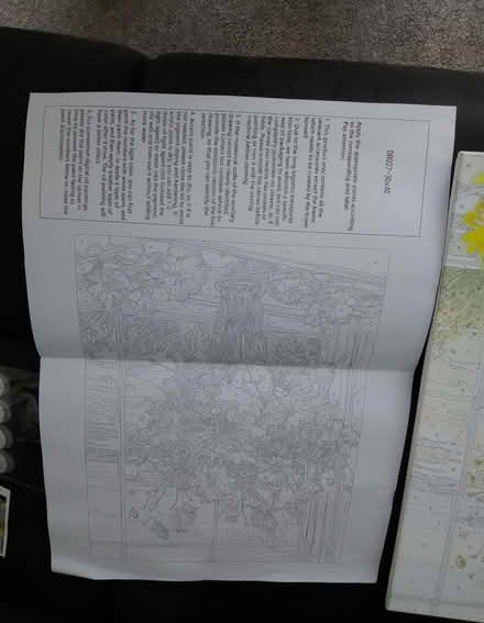 Photo of free Adult painting with numbers (Heacham PE31) #2