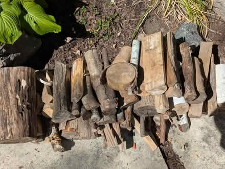 Photo of free Firewood (Champlain Park) #2