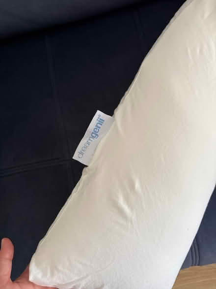 Photo of free Dreamgenii pregnancy pillow (Surbiton KT5) #2