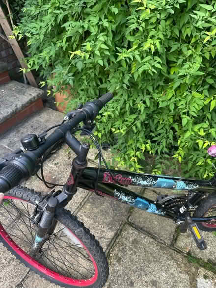 Photo of free Bike (AL1 4QN) #2
