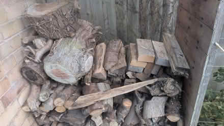 Photo of free Firewood (Kenilworth CV8) #1
