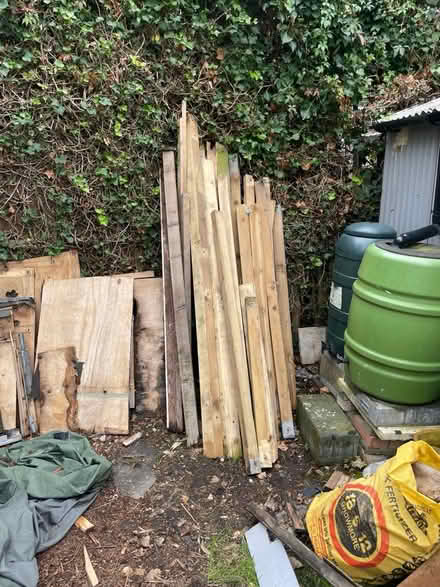 Photo of free Wood (TW3) #1