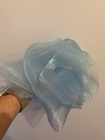 Photo of free Organza chair bows for parties/ celebrations/ crafting. (City Centre NR3) #4