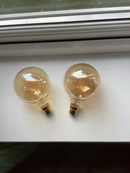 Photo of free Light bulbs (Waterloville) #1