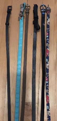 Photo of free USED fashion belts (Elmvale acres, Lynda lane park) #1