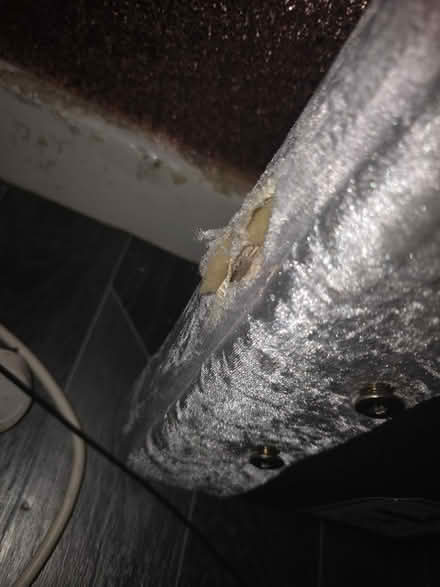 Photo of free Bed (Faversham ME13) #3