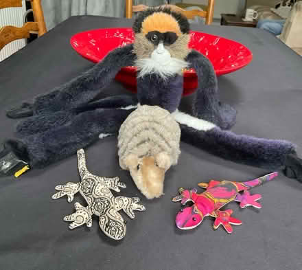 Photo of free Wildlife soft toys (Northcourt OX14) #1