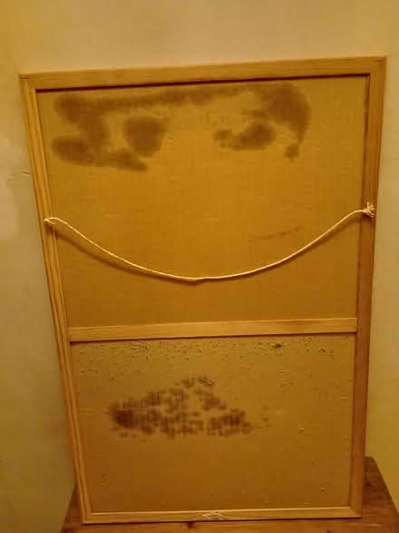 Photo of free Cork Board with pins (Deptford) #3