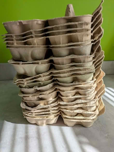 Photo of free Egg boxes (Wyton PE28) #1
