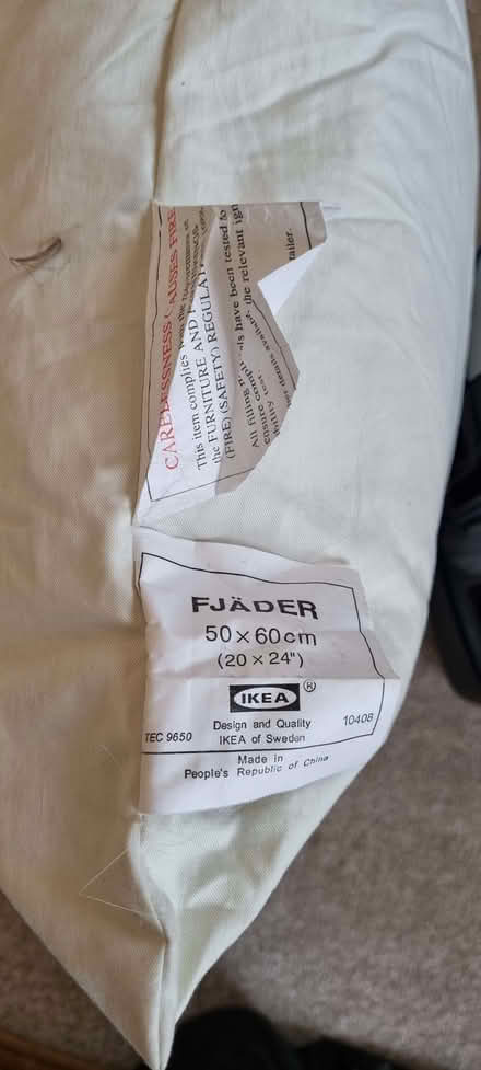 Photo of free Feather cushion (South Tonbridge TN9) #1