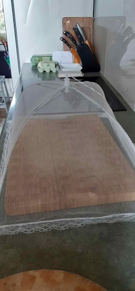 Photo of free Food cover (Hollingdean) #1