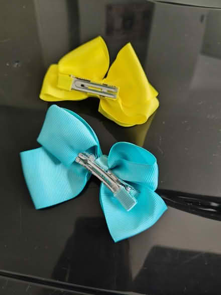 Photo of free Hair clips (SW15) #4