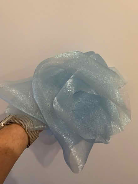 Photo of free Organza chair bows for parties/ celebrations/ crafting. (City Centre NR3) #3