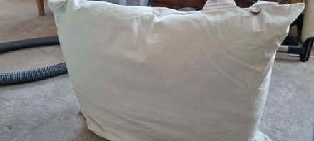 Photo of free Feather cushion (South Tonbridge TN9) #2