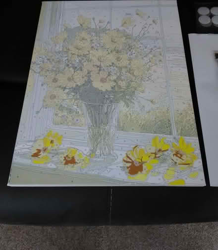 Photo of free Adult painting with numbers (Heacham PE31) #3