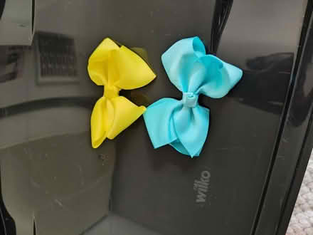 Photo of free Hair clips (SW15) #2