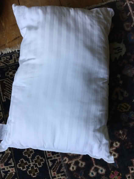 Photo of free Cushion 33x46 cm (Summertown OX2) #1