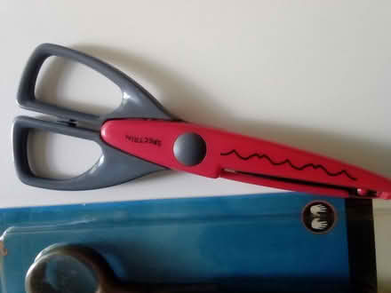 Photo of free Paper edging scissors (RG30) #1