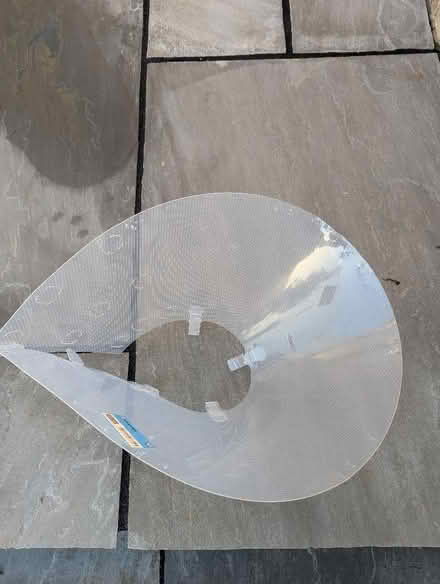 Photo of free Dog recovery collar (Combe Down) #1