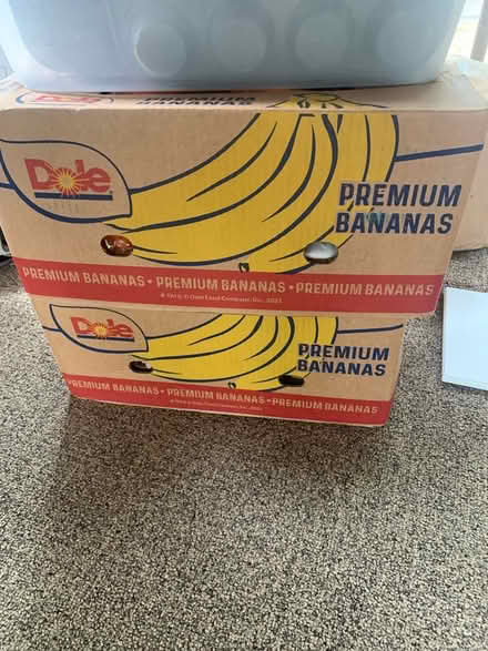 Photo of free Packing Supplies (Whiting NJ) #1