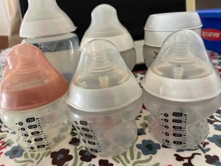 Photo of free Tommy Tippee baby bottles (N22 near Durnsford Road) #1