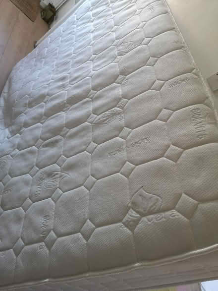 Photo of free Double mattress (Queen's Park BN2) #3