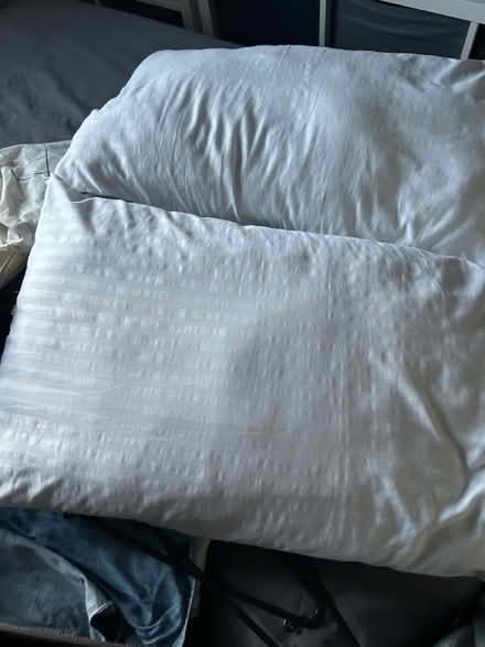 Photo of free Pillows (Luton LU3) #1