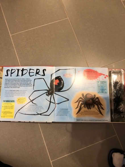 Photo of free Bug war book (Behind Horsham train station) #2