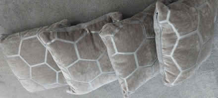 Photo of free Grey Cushions (L10) #1