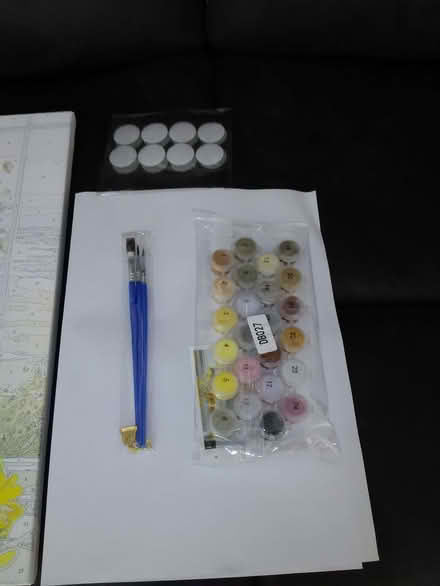 Photo of free Adult painting with numbers (Heacham PE31) #4