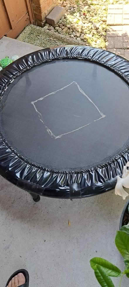 Photo of free Mini trampoline/Reounder (Oakbrook Terrace) #1