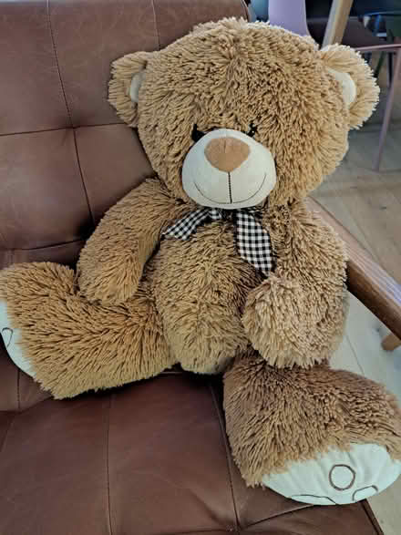Photo of free Large teddy bear (Tonbridge road,Maidstone) #1