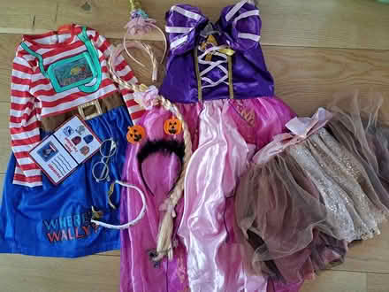 Photo of free Girls fancy dress items (Tonbridge road,Maidstone) #1