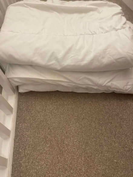 Photo of free Single duvets x2 (Diglis WR5) #1
